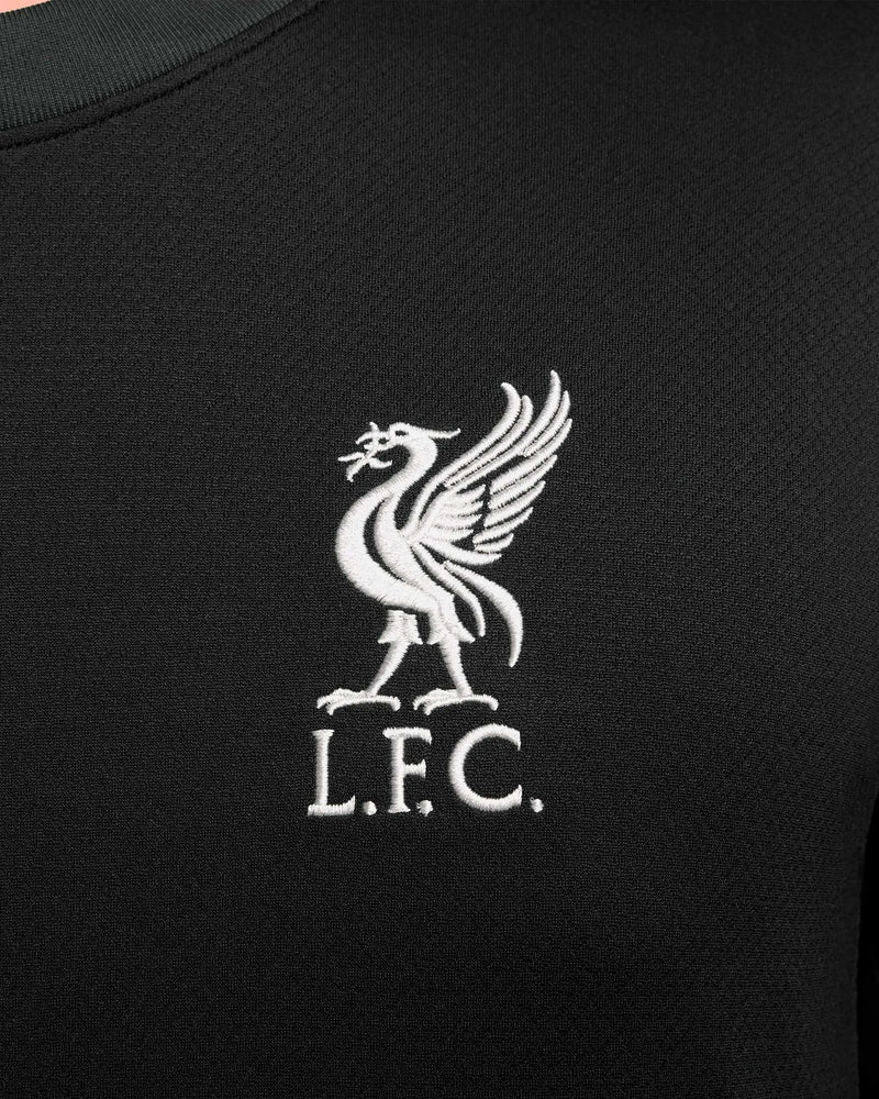 Liverpool 24/25 Away Jersey - Fan Version