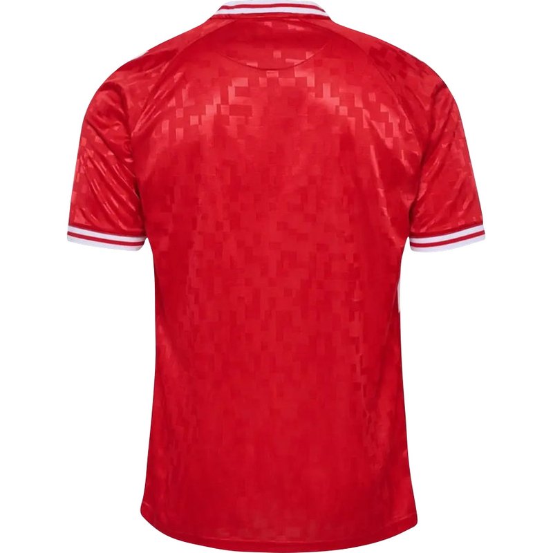 denmark-24-25-i-home-jersey-fan-version-2